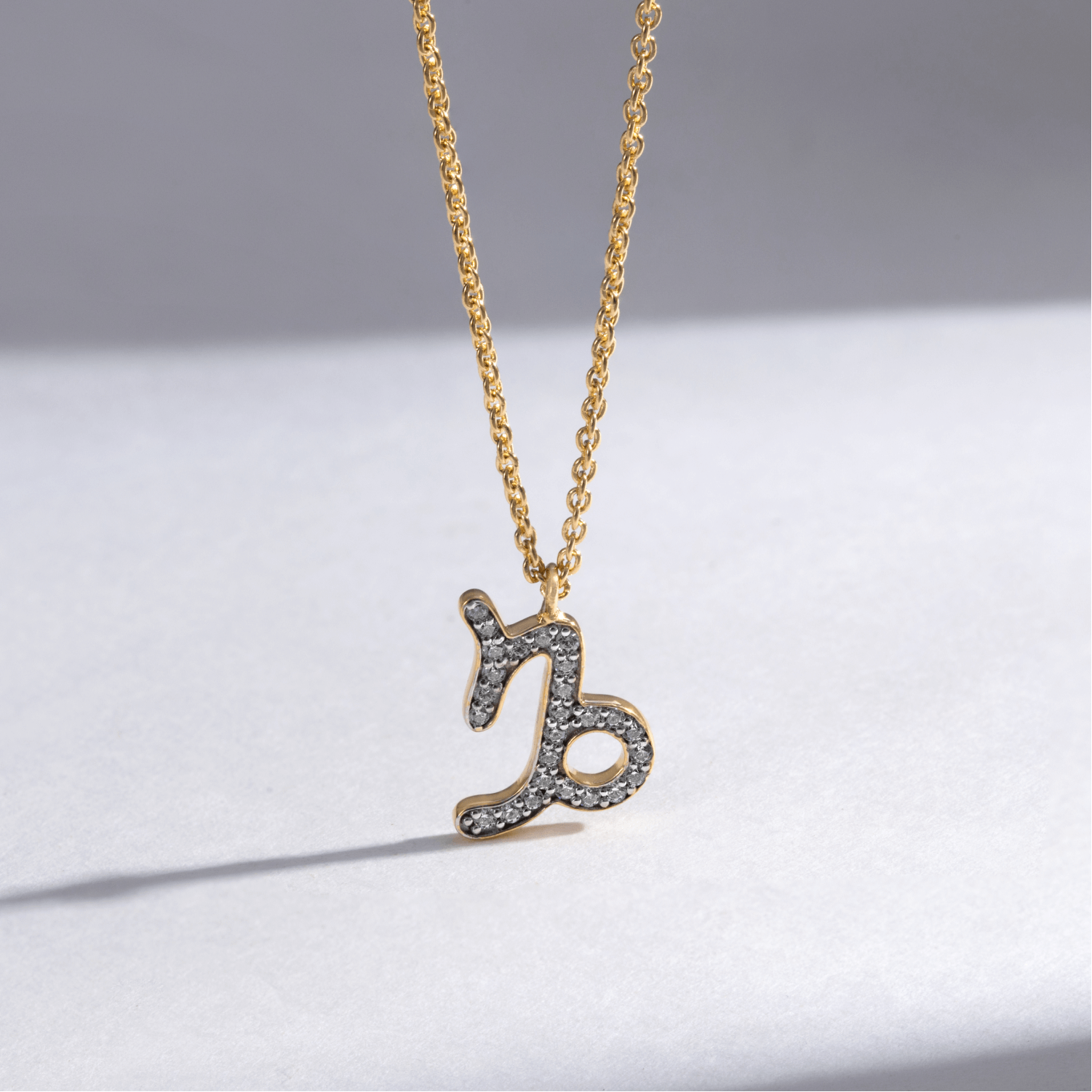 Capricorn Necklace